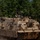 U.S. Soldiers conduct maintenance at the Unit Maintenance Collection Point during Balkan Sentinel