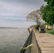 Work Continues on the Emerald Shiner Project