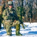 Norwegian Home Guard Conduct Culminating STX Event for the 52nd NOREX