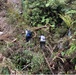 Defense POW/MIA Accounting Agency Partner Investigates possible WWII Era Crash Sites in Republic of the Philippines