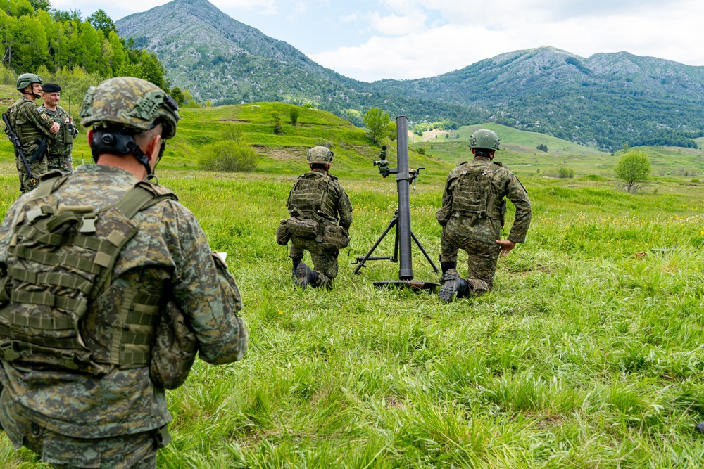 FP 25-1 Advisors from 54th SFAB Enhance NATO Interoperability During Immediate Response 25 in Albania