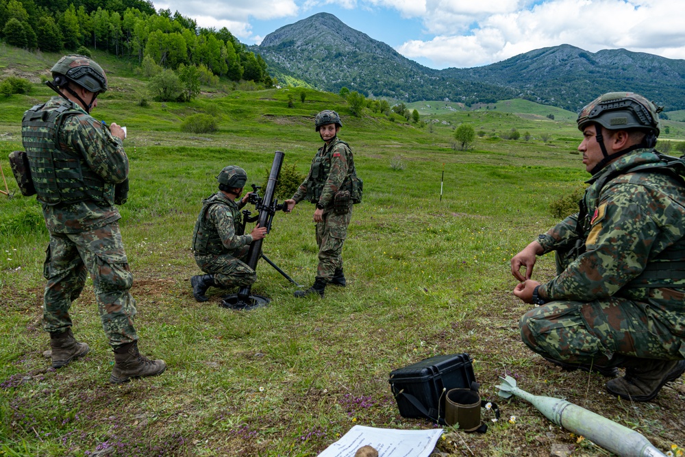 FP 25-1 Advisors from 54th SFAB Enhance NATO Interoperability During Immediate Response 25 in Albania