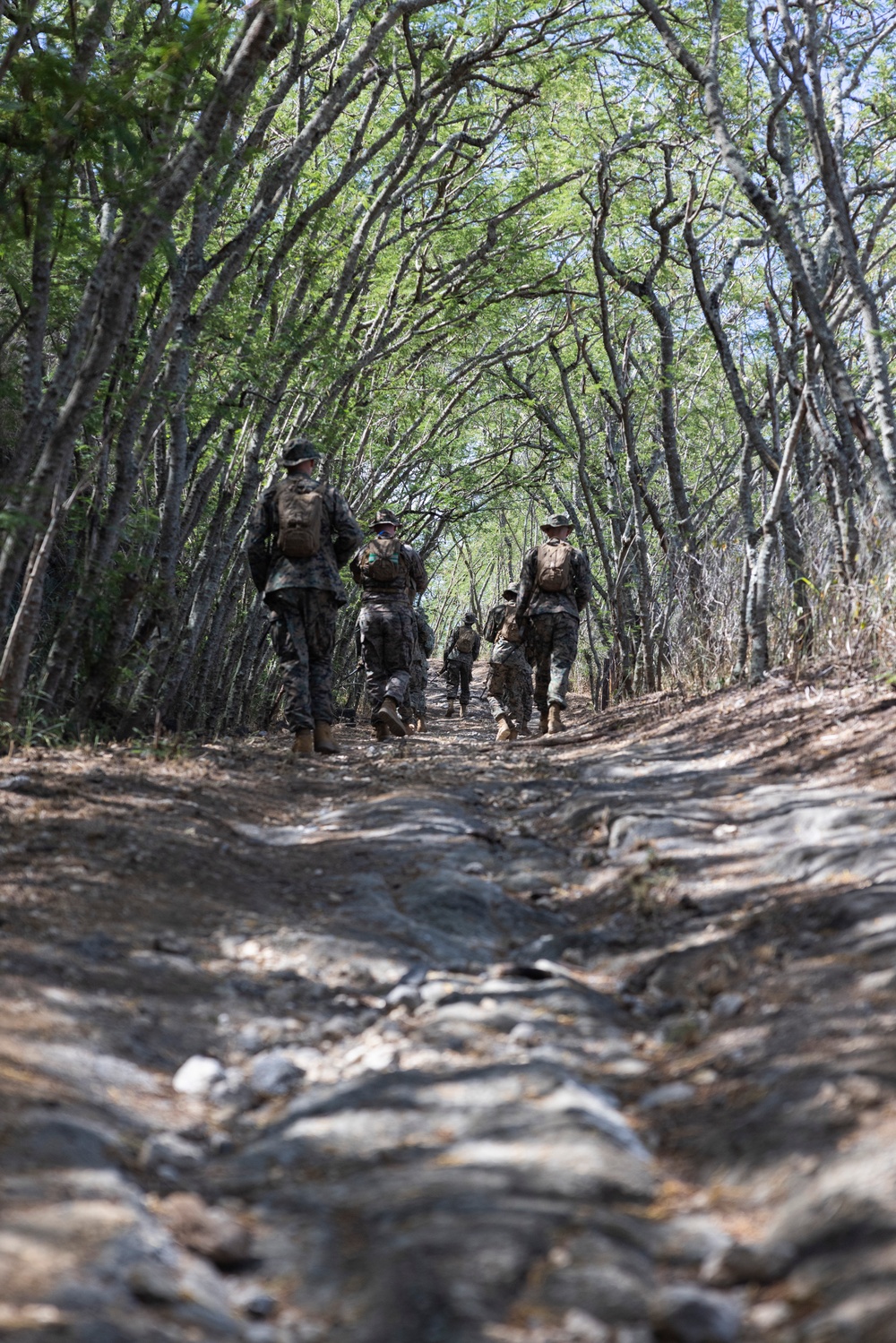 Staying Ready: Headquarters Battalion, MCBH, conducts FEX III