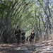 Staying Ready: Headquarters Battalion, MCBH, conducts FEX III