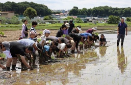 Rice-planting event near Camp Zama forges bond with neighboring community