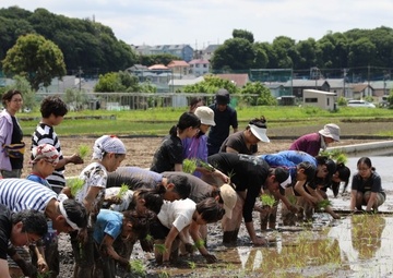 Rice-planting event near Camp Zama forges bond with neighboring community