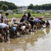 Rice-planting event near Camp Zama forges bond with neighboring community