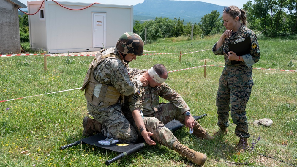 Maryland Army National Guard supports NATO exercise Immediate Response-Defender 25 in Croatia