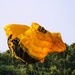 U.S. Army Parachute Team Conducts Quarterly Training