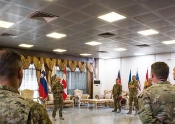 Canadian Armed Forces Coalition Member Awarded for International Cooperation