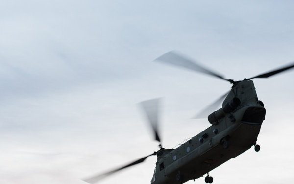 Coalition Forces In The Air