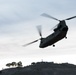 Coalition Forces In The Air