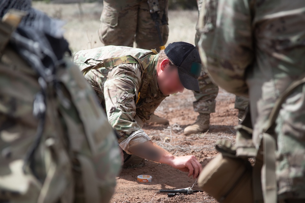 10th SFG (A)