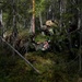 U.S. and Sweden execute ISOP rescue exercise