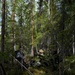 U.S. and Sweden execute ISOP rescue exercise