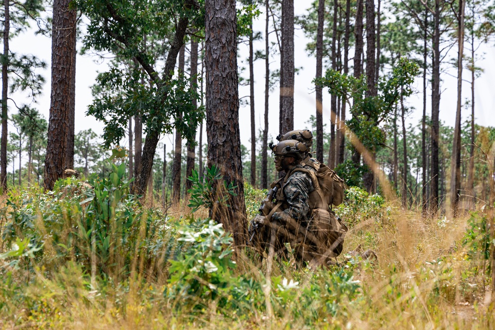 22nd MEU | BLT 3/6 Amphibious Assault from IWO ARG