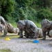 Best Squad Competition- Modified Expert Physical Fitness Assessment