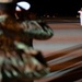 Navy Master-at-Arms Seaman Apprentice Aristan R. Johnson honored in dignified transfer June 3