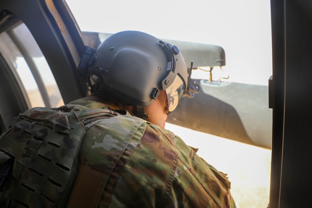 TF Cardinal Hoist Training