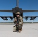 Sentry North Exercise