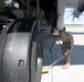 Sentry North Exercise