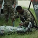 Task Force Tiger Units Conduct Joint MEDEVAC Training During Final Exercise at Fort Cavazos
