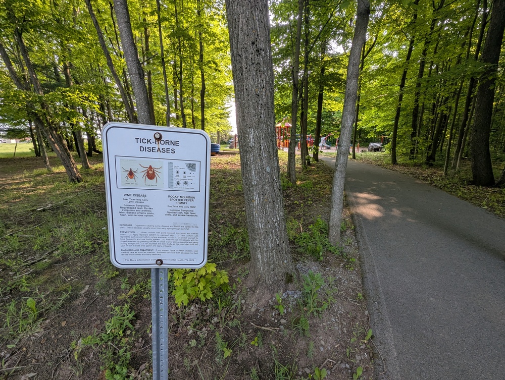 Fort Drum Safety Office cautions against picking wild mushrooms on post