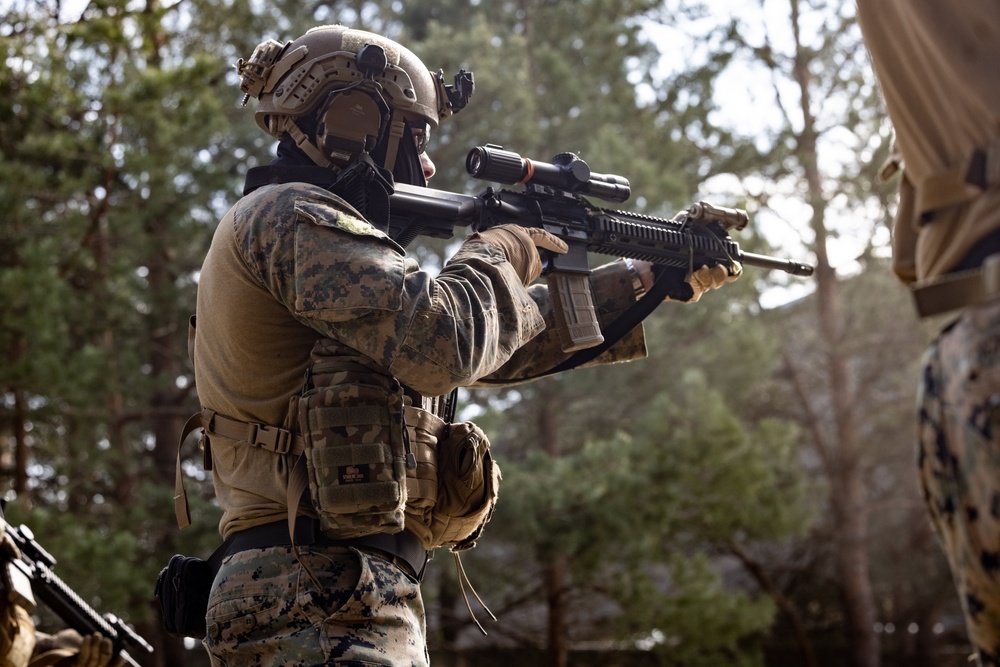 U.S. Recon Marines train with NATO allies