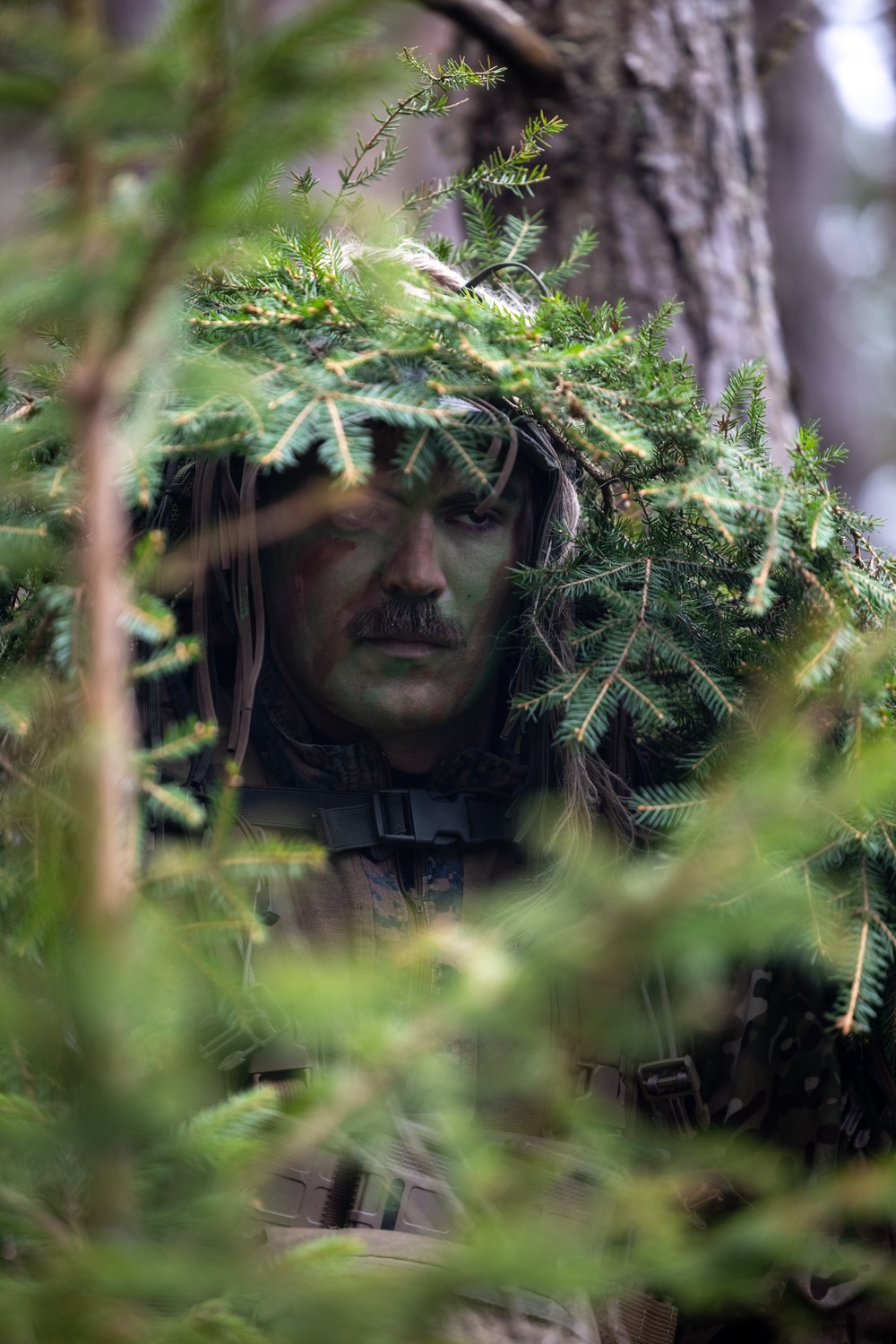 U.S. Recon Marines train with NATO allies