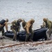 U.S. Recon Marines train with NATO allies