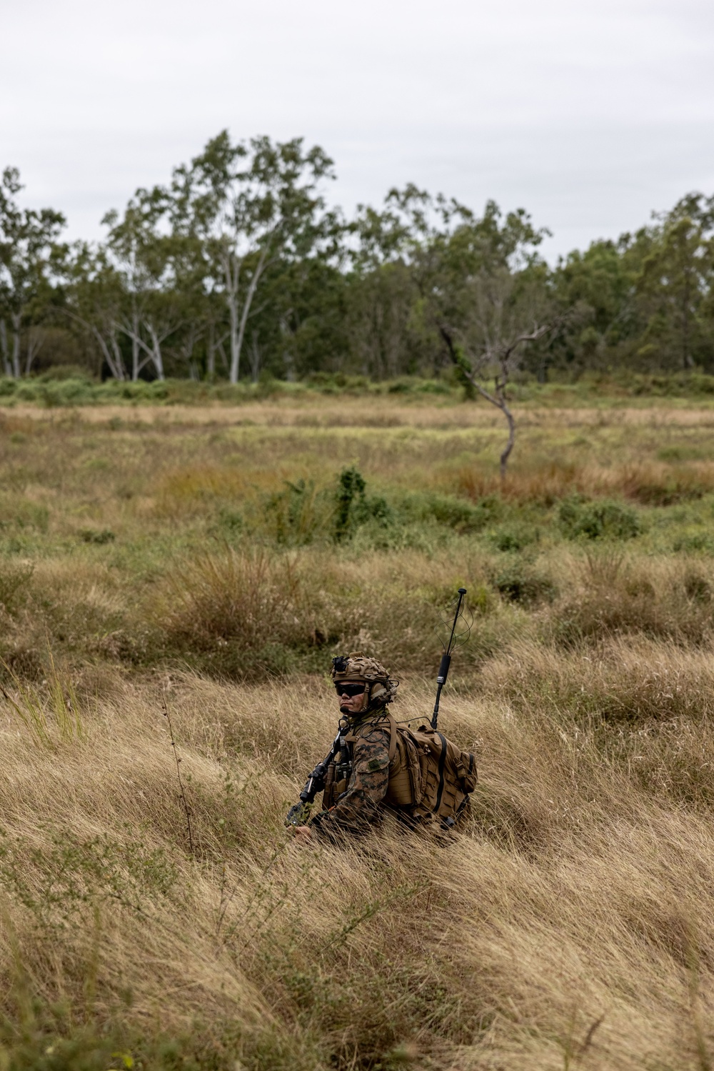 Southern Jackaroo 25: MRF-D 25.3 conducts simulated raid in support of combined operations