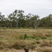 Southern Jackaroo 25: MRF-D 25.3 conducts simulated raid in support of combined operations