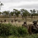 Southern Jackaroo 25: MRF-D 25.3 conducts simulated raid in support of combined operations