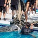 3rd Special Forces Group (Airborne) Wet Silk Training