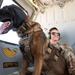 Chopper Dogs
