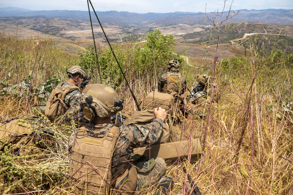 CERTEX 25.3: 1st ANGLICO Marines Provide Supporting Fires