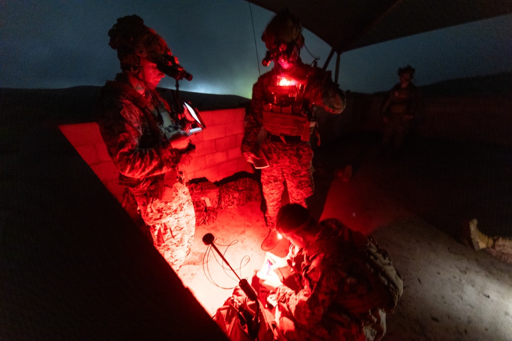 CERTEX 25.3: 1st ANGLICO Marines Provide Supporting Fires