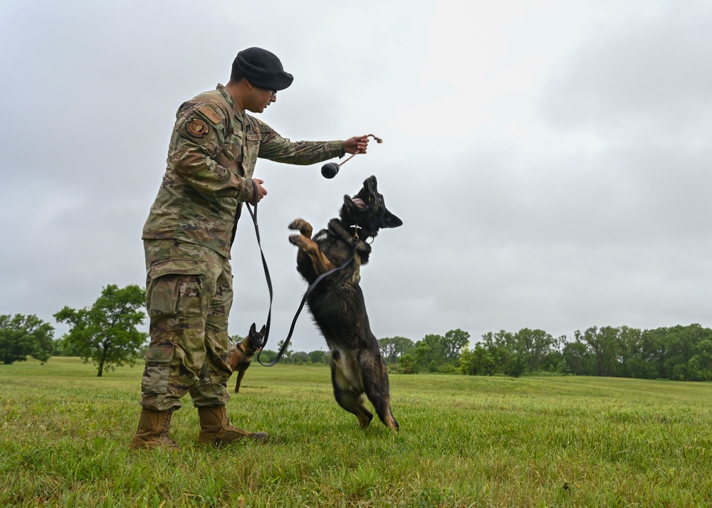 New military working dog facility groundbreaking