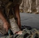 Bravo Company Exam