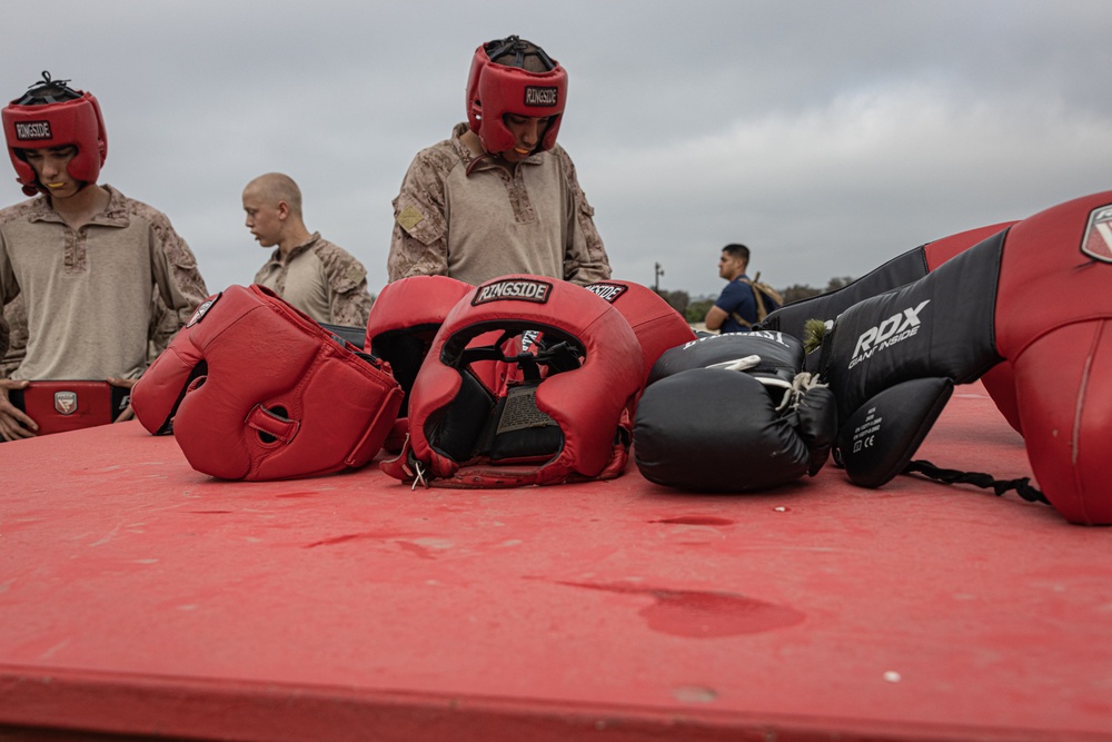 India Company Body Sparring