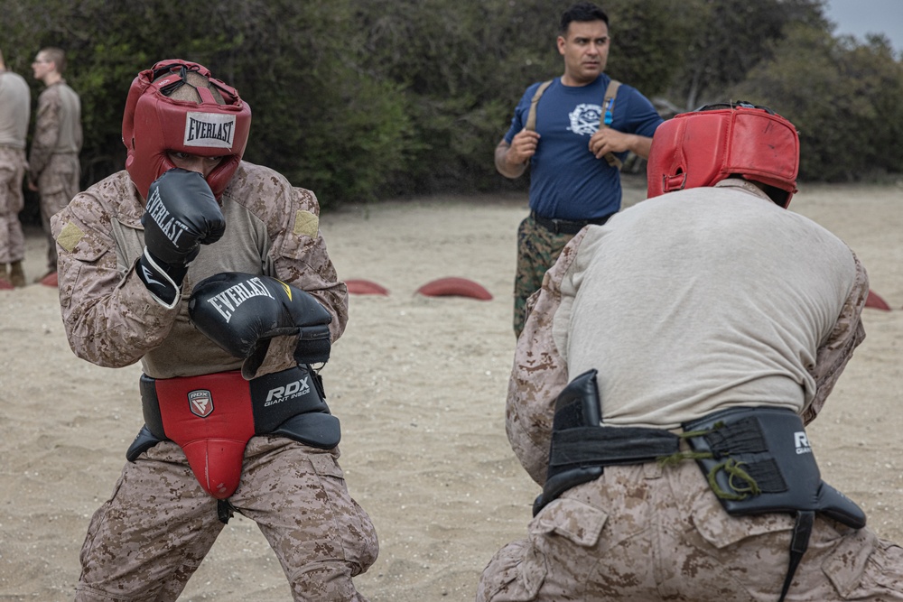 India Company Body Sparring