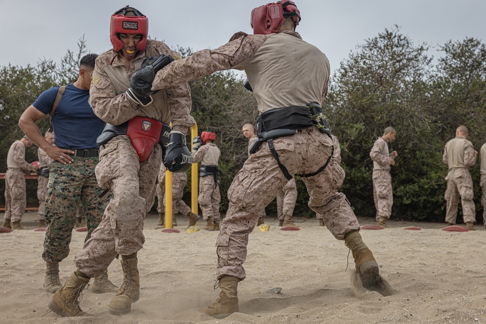 India Company Body Sparring