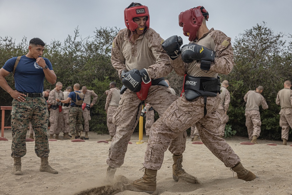 India Company Body Sparring