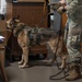 Grand Forks AFB hosts inaugural Top Dog of the Tundra Competition, celebrates Police Week 2025