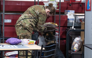 Grand Forks AFB hosts inaugural Top Dog of the Tundra Competition, celebrates Police Week 2025