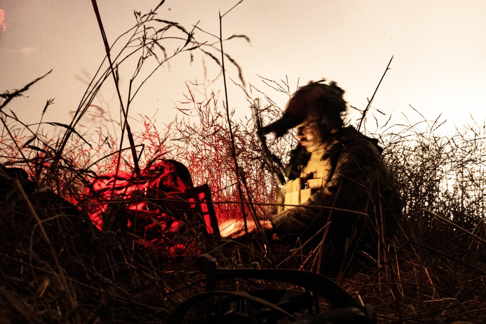 CERTEX 25.3: 1st ANGLICO Marines Provide Supporting Fires