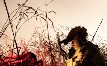 CERTEX 25.3: 1st ANGLICO Marines Provide Supporting Fires