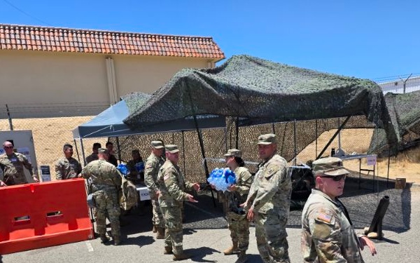 The Archangels of Mojave Falcon