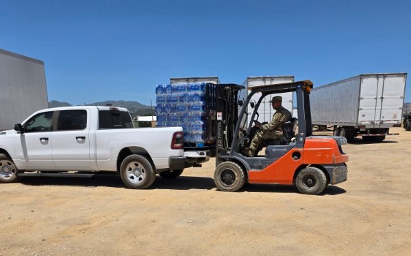 The Archangels of Mojave Falcon