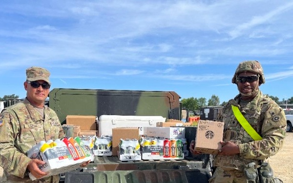 The Archangels of Mojave Falcon